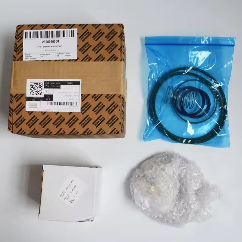 2906066000 Atlas COPCO ZT55-90 Air Compressor Check VLV Serv Kit